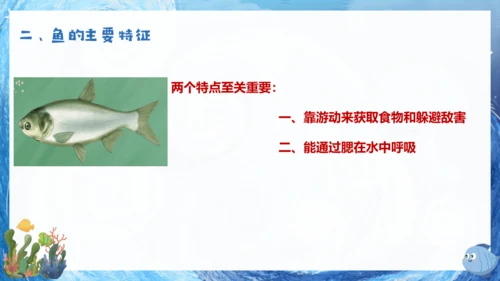 人教版生物七年级上册2.2.2《脊椎动物》课件(共22张PPT)+视频素材