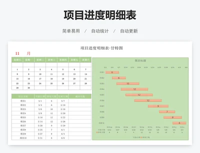 项目进度明细表