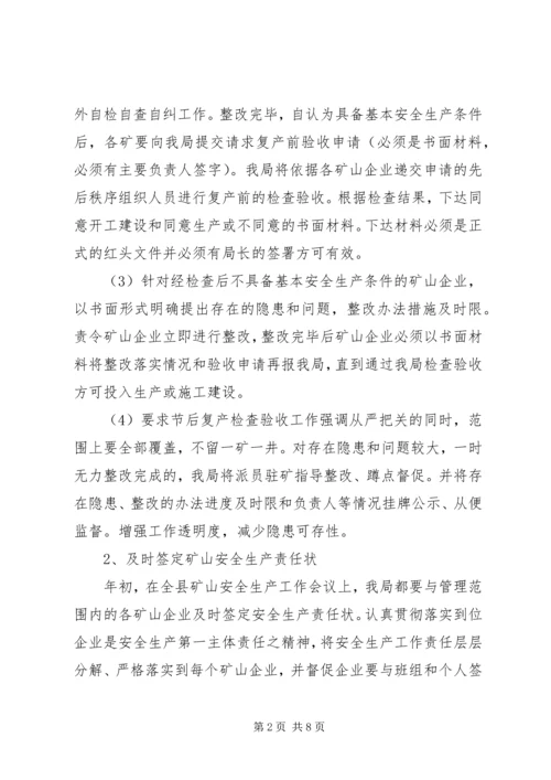 矿产局上半年工作总结及下半年工作计划.docx