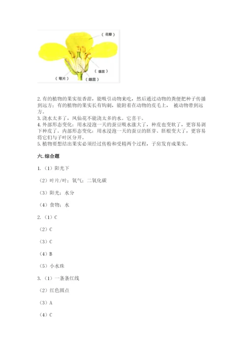科学四年级下册第一单元《植物的生长变化》测试卷附答案【研优卷】.docx