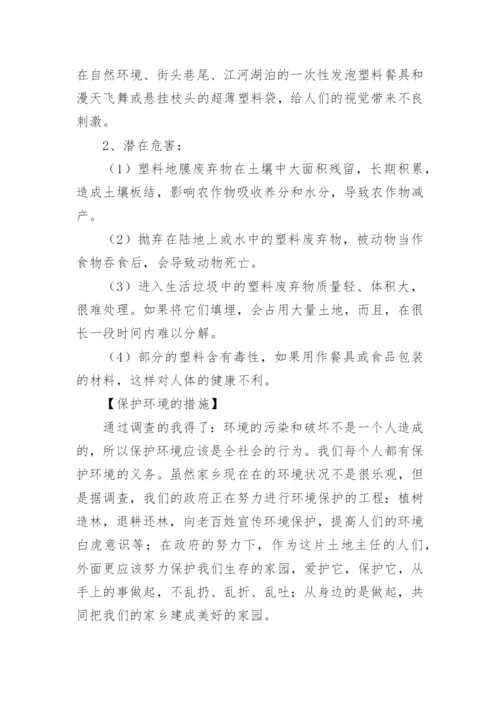 乡村环境社会实践报告.docx