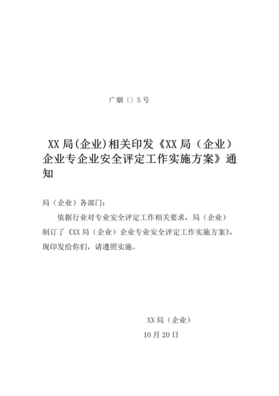 安全评估工作专项方案.docx