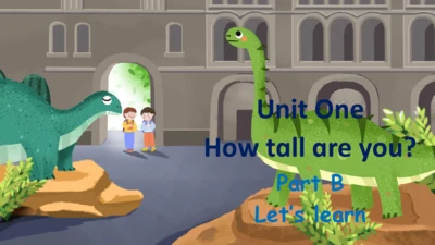 Unit 1 How tall are you Part B Let's learn课件（30张PP