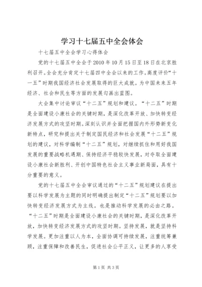 学习十七届五中全会体会 (3).docx