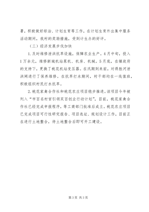 村XX年上半年工作总结和下半年工作计划 (2).docx