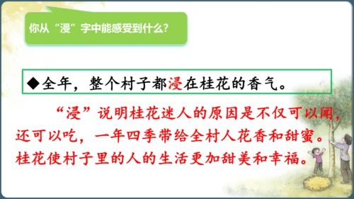 3.桂花雨  课件