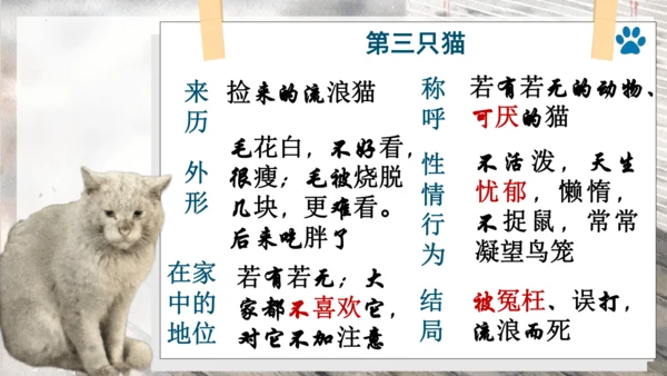 第17课《猫》课件(共25张PPT)