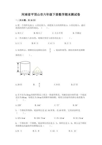 河南省平顶山市六年级下册数学期末测试卷（精练）.docx