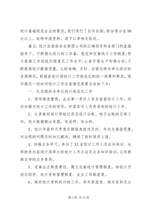 最新统计工作自查报告范文 (2).docx