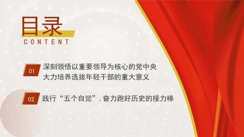 书写为中国式现代化挺膺担当的青春篇章ppt