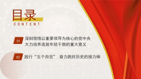 书写为中国式现代化挺膺担当的青春篇章ppt