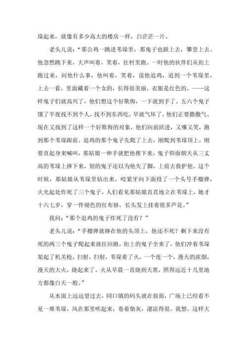 高考语文一轮复习精品之散文化小说阅读试题精选.docx