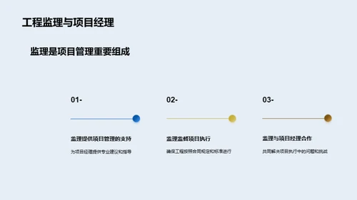 工程监理：解析与实践