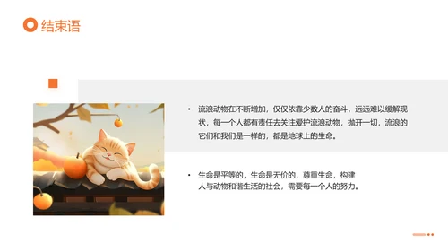 关爱流浪动物，流浪猫PPT模版