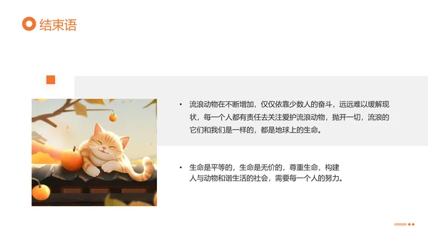 关爱流浪动物，流浪猫PPT模版