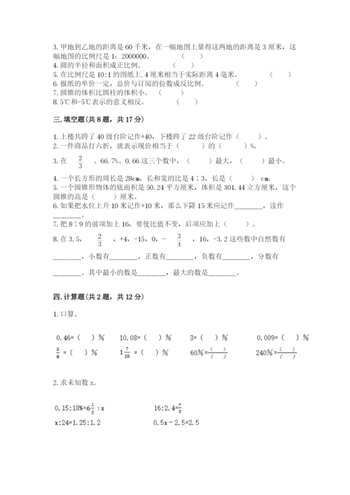 人教版六年级下册数学期末测试卷精品【典优】.docx