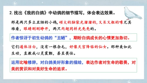 七年级语文上册第五单元  人与动物（大单元教学） 课件(51张PPT)