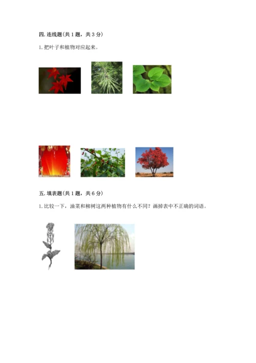 教科版小学一年级上册科学期末测试卷（名师系列）.docx