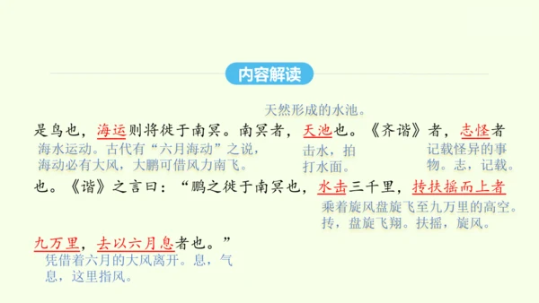 第21课《庄子》二则 统编版语文八年级下册 同步精品课件