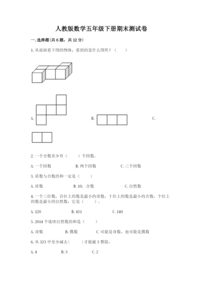 人教版数学五年级下册期末测试卷精品【典型题】.docx