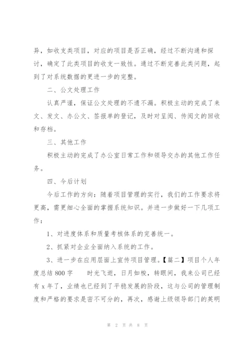 项目个人年度总结800字.docx