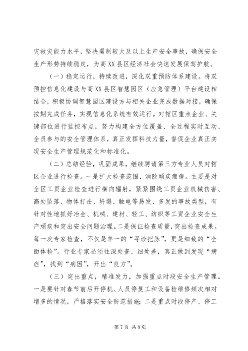 应急管理局工作总结及XX年工作计划.docx