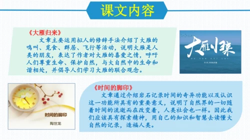 第二单元（单元复习课件）八年级语文下册同步备课系列（统编版）(共31张PPT)