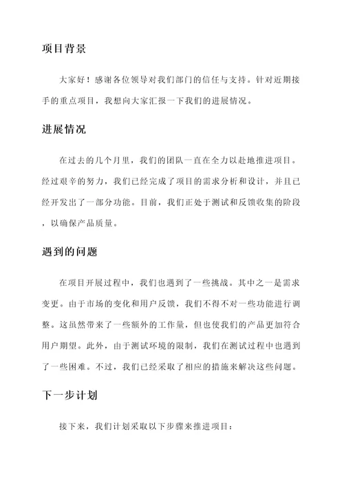 领导分包重点项目情况汇报