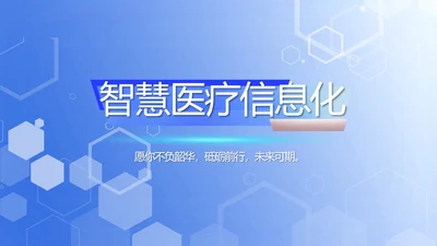 智慧医院医疗信息化建设工作总结PPT