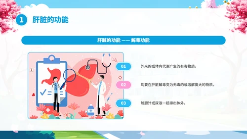全国爱肝日肝病知识宣传PPT模板