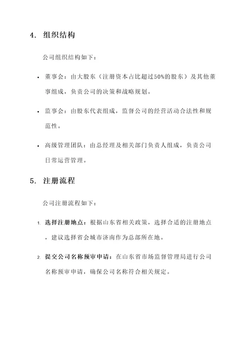 山东金融公司注册方案