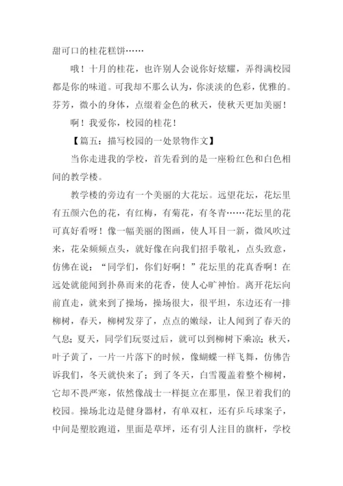 描写校园的一处景物作文.docx