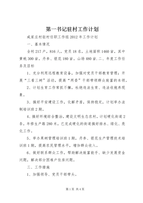 第一书记驻村工作计划 (2).docx