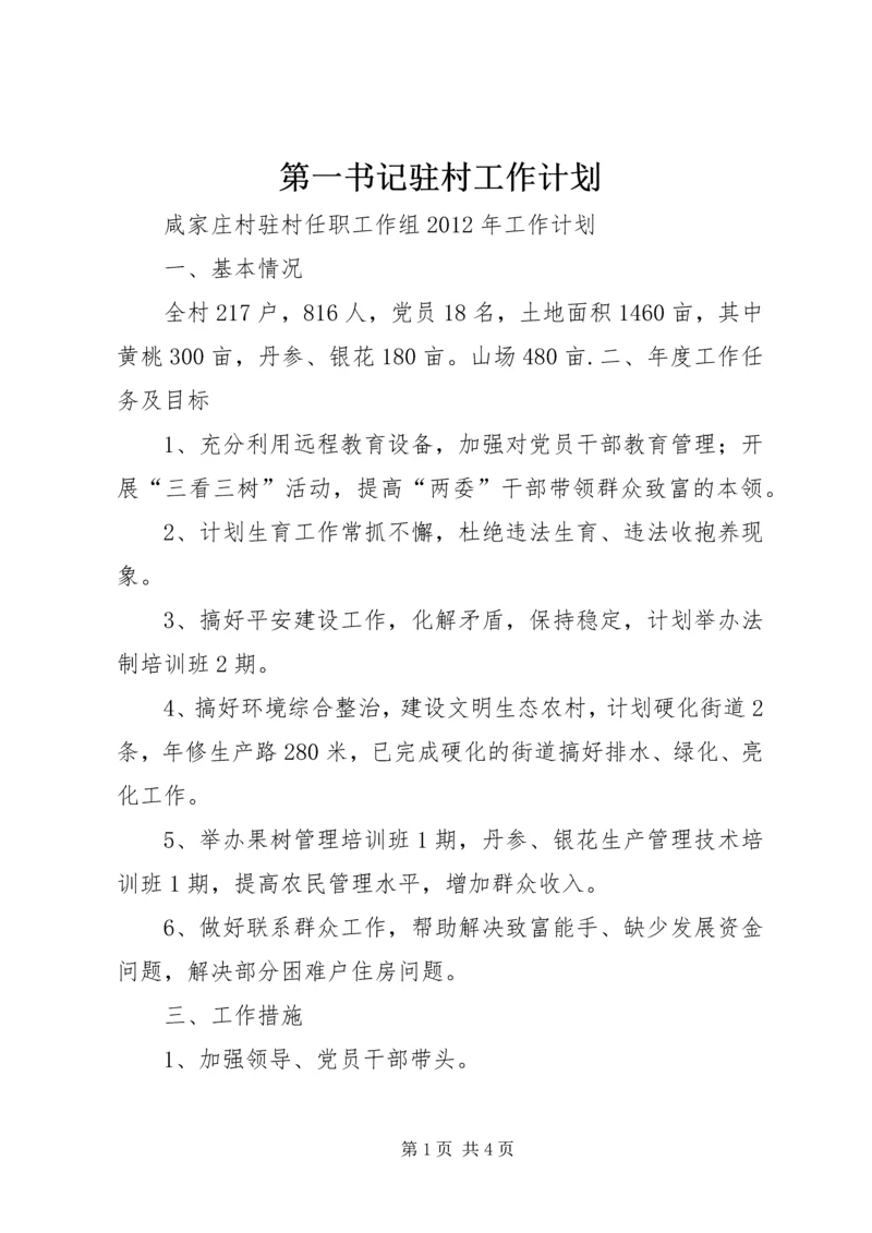 第一书记驻村工作计划 (2).docx