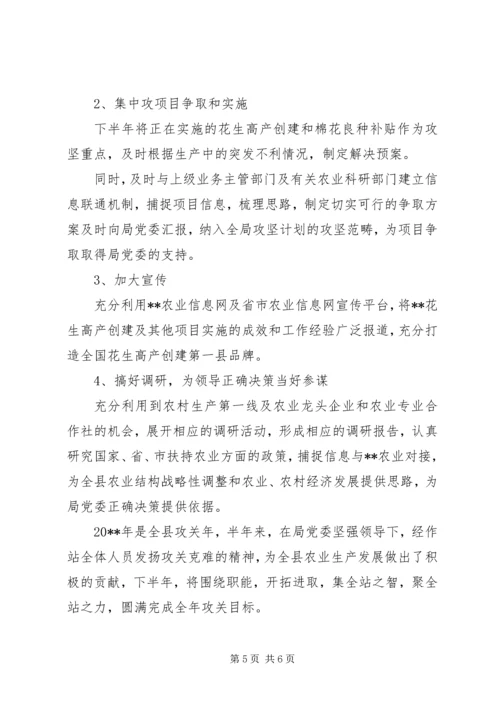 经作站上半年工作总结及下半年工作计划 (2).docx