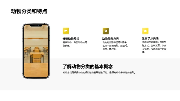 探索奇妙的动物世界
