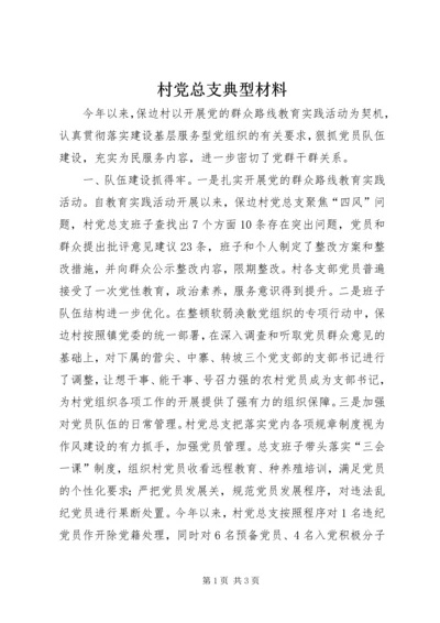 村党总支典型材料_1.docx