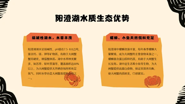 黄橙色手绘中国美食阳澄湖大闸蟹介绍PPT模板