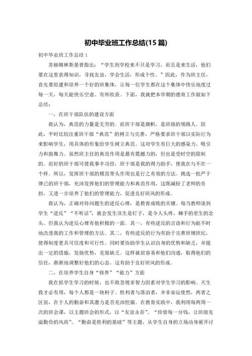 初中毕业班工作总结(15篇).docx