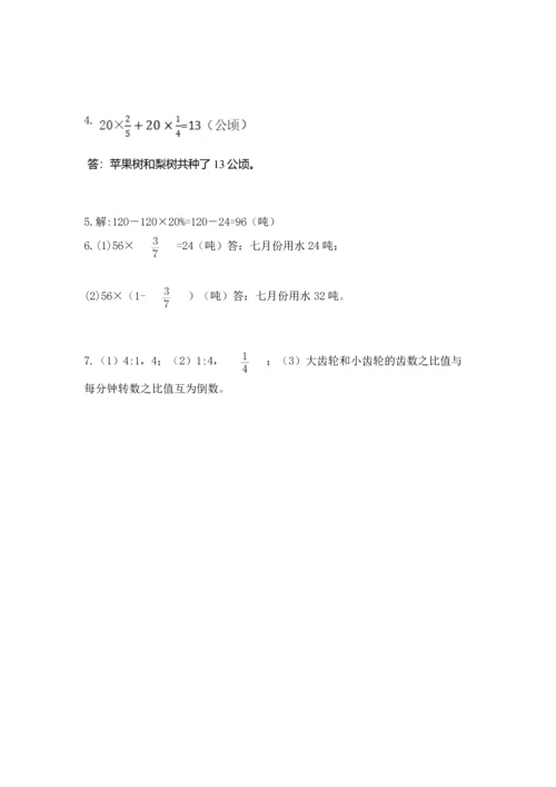 小学数学六年级上册期末测试卷（考试直接用）word版.docx