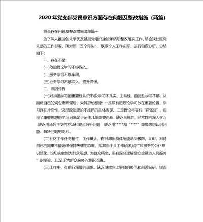 2020年党支部党员意识方面存在问题及整改措施两篇