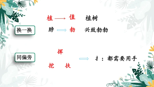 4.邓小平爷爷植树（第一课时）  课件