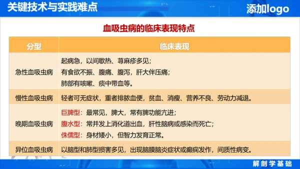 人体奥秘医学解剖学学术论文通用PPT模版