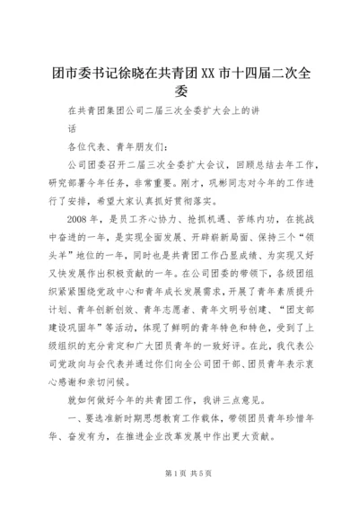 团市委书记徐晓在共青团XX市十四届二次全委 (4).docx