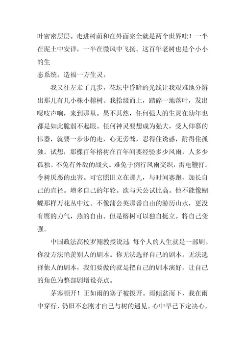 2024年遇见初三优秀作文