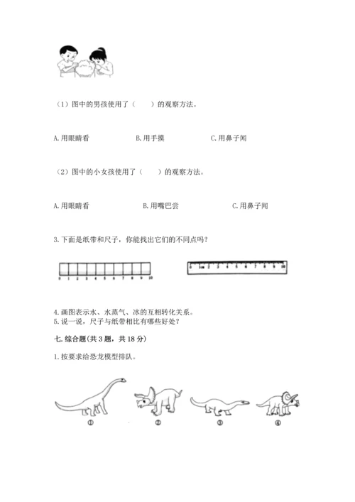 教科版科学一年级上册期末测试卷【考点精练】.docx