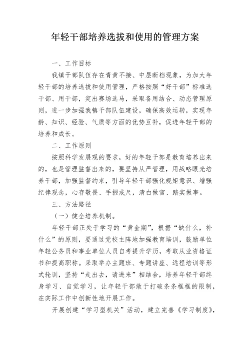 年轻干部培养选拔和使用的管理方案.docx