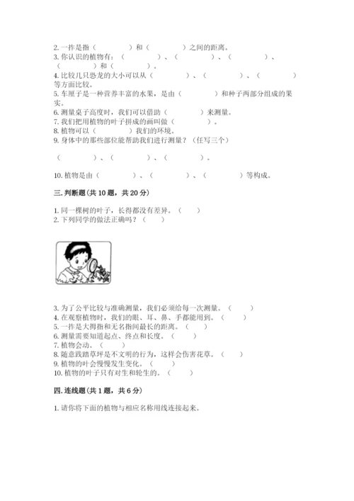 教科版一年级上册科学期末测试卷含解析答案.docx