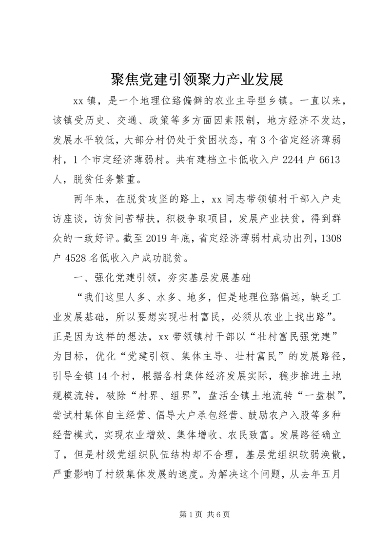 聚焦党建引领聚力产业发展.docx