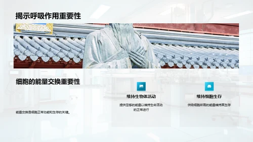 细胞学入门
